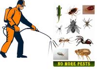 Pest Removal Services New York City NY image 1